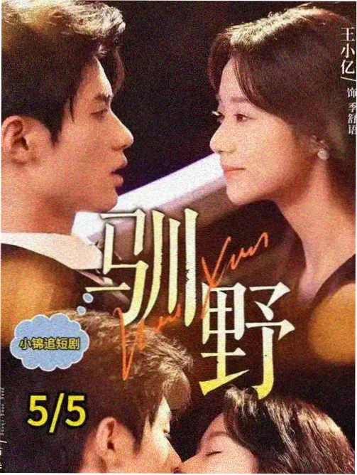 剧集城市光年封面